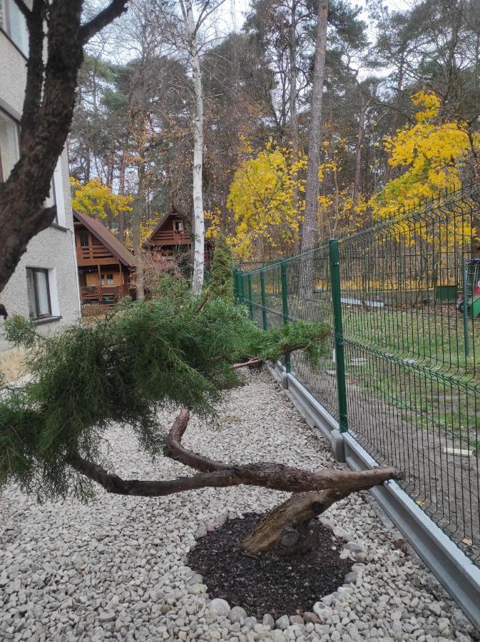 Chatki Saturnina I Pokoje Świnoujście Buitenkant foto